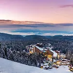 Alpine With Sauna *