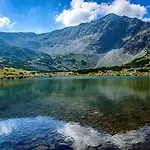 Alpine With Sauna Villa *
