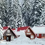 Alpine With Sauna Villa