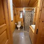Alpine With Sauna Villa