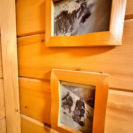 Alpine With Sauna Vila Borovec