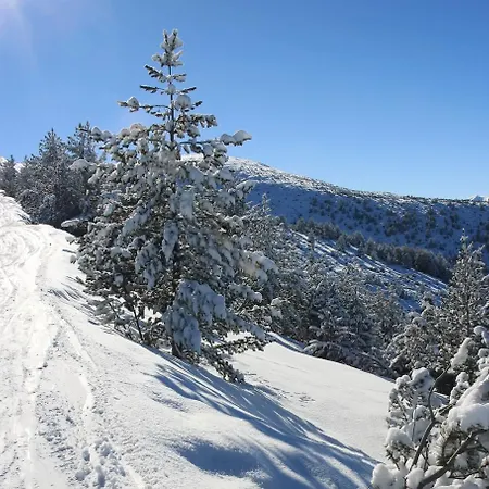 博罗韦茨滑雪木屋别墅 别墅