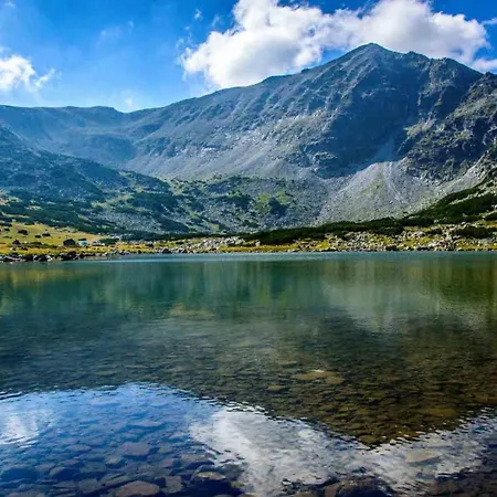 Alpine With Sauna Vila *