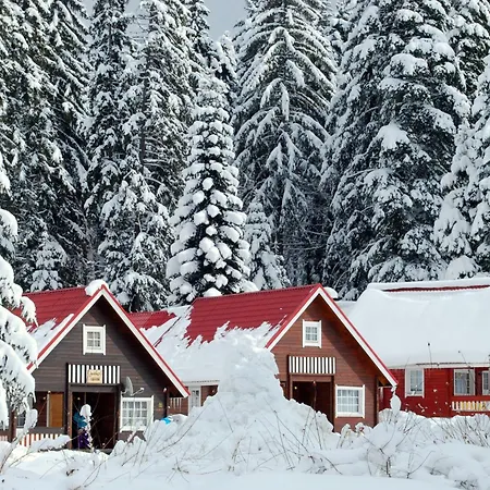 Alpine With Sauna Vila
