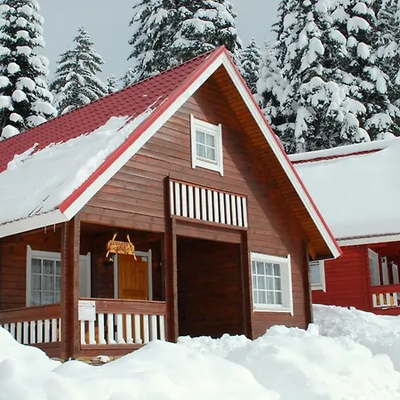 Alpine With Sauna Vila