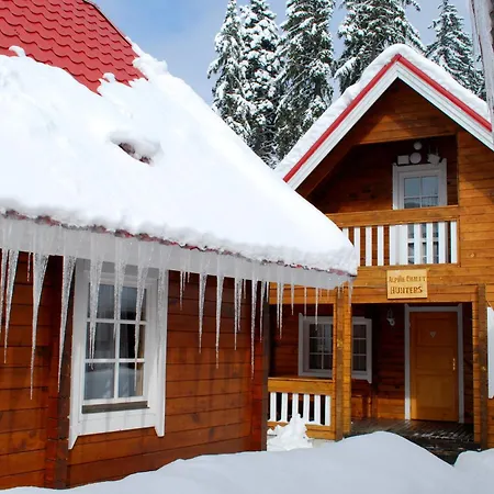Villa Alpine With Sauna *