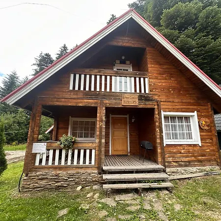 Alpine With Sauna Vila *