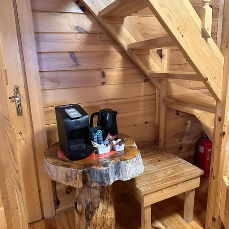 别墅 博罗韦茨滑雪木屋别墅 *