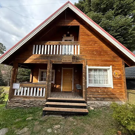 Alpine With Sauna