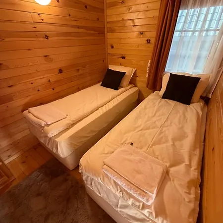 Villa Alpine With Sauna