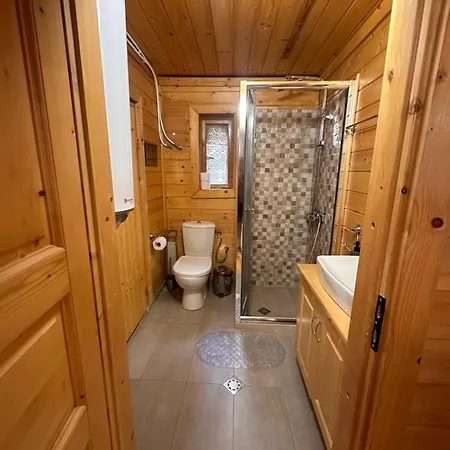 Alpine With Sauna Vila