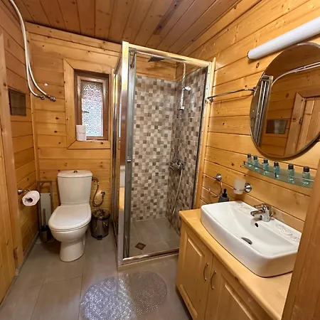 Alpine With Sauna Borovec