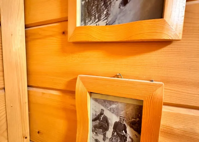 Alpine With Sauna Willa Borowec