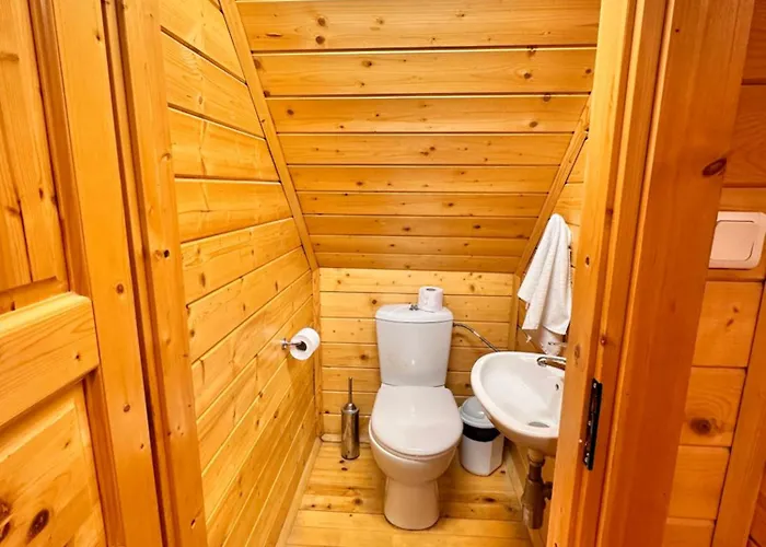 Willa Alpine With Sauna Borowec