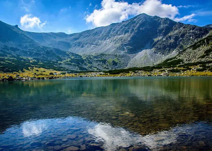 Alpine With Sauna Willa *