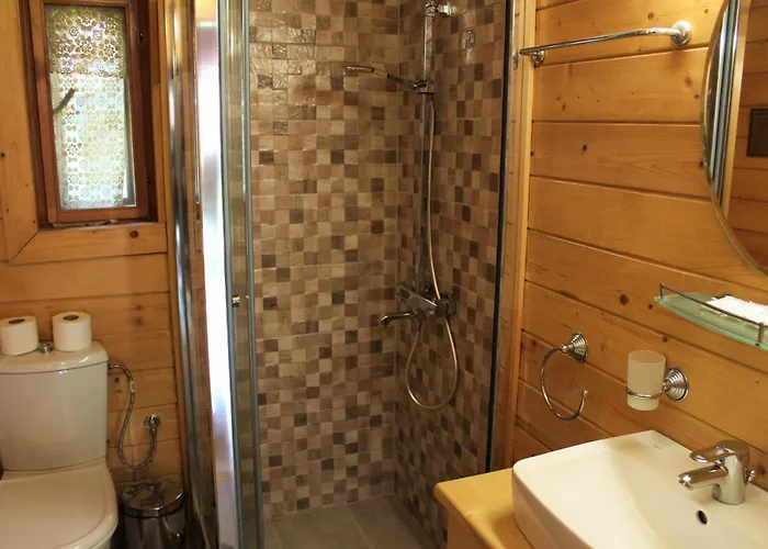 Alpine With Sauna Willa *