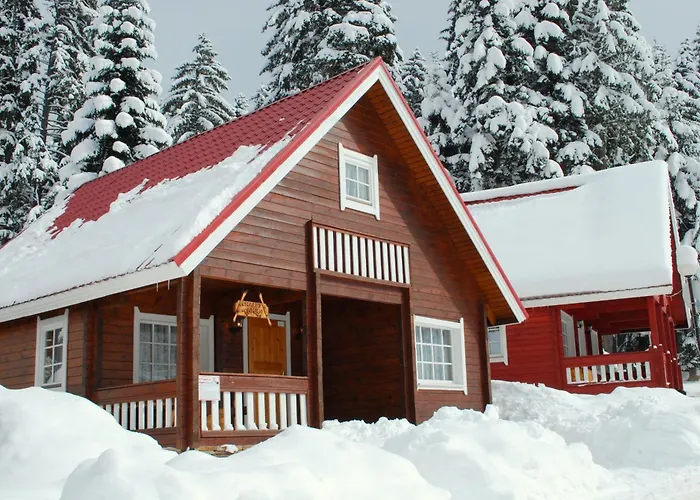 Alpine With Sauna Willa