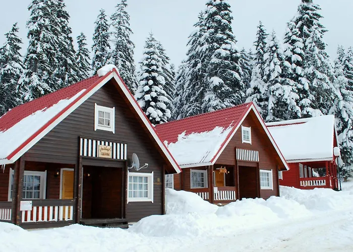 Willa Alpine With Sauna Borowec