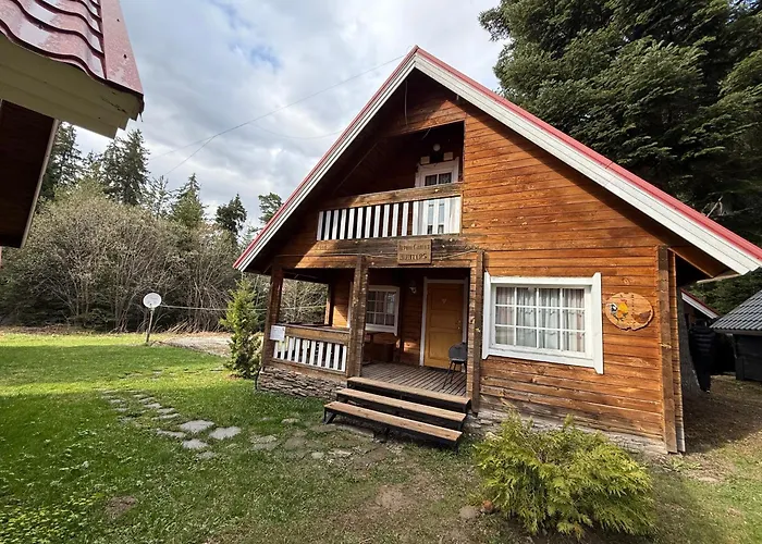 Alpine With Sauna Borowec