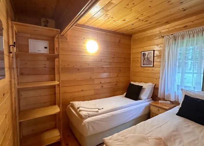 Alpine With Sauna Borowec