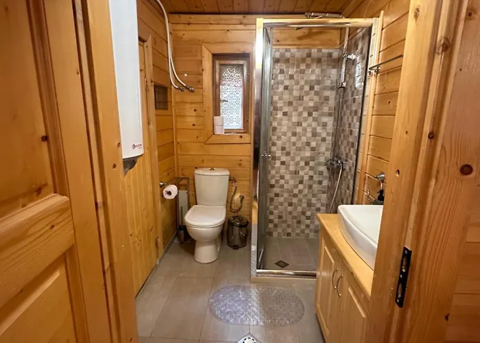 Alpine With Sauna Willa